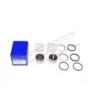 KIT PISTONS FREINS AR ADAPTABLE